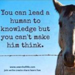 you-can-lead-a-human