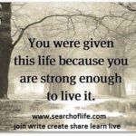 you-were-given-this-life
