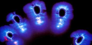 The Science Behind Auras and Kirlian Photography