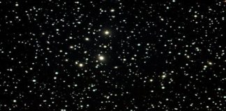 The World of Galaxy Clusters