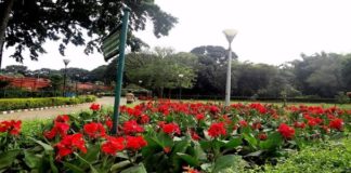 Lal Bagh Botanical Garden – A Man-Made Green Planet