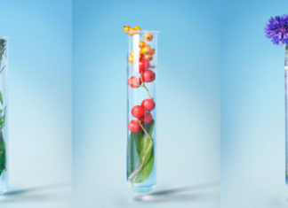 Can we Cure Death and Create Life From Scratch?