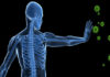 Immune System – Human Body’s Secret Weapon