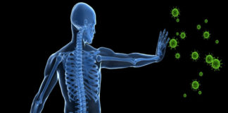 Immune System – Human Body’s Secret Weapon