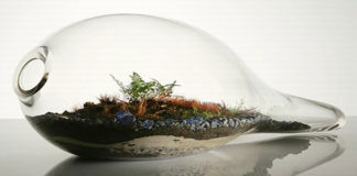 Life in a Bottle – The Miller–Urey Experiment