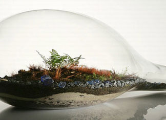 Life in a Bottle – The Miller–Urey Experiment