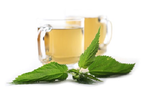 nettle-tea-and-extracts