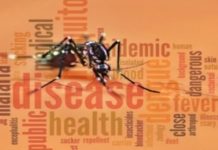 The Malaria Project – A Valiant Attempt to Cure Malaria Permanently