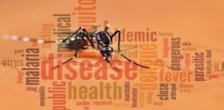 The Malaria Project – A Valiant Attempt to Cure Malaria Permanently