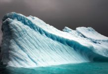 The Endangered Polar Regions Captured on Camera