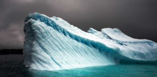 The Endangered Polar Regions Captured on Camera