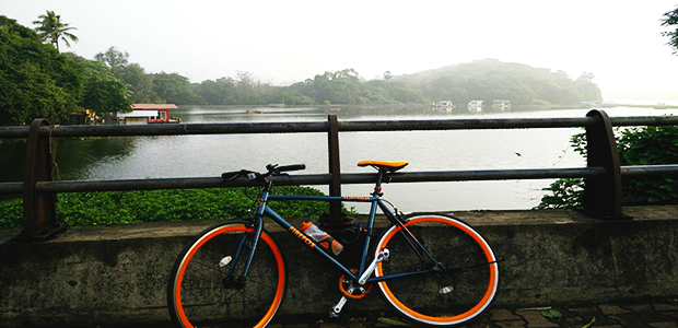 Firefox Flip Flop. A fixie docked against the rails adjoining the Powaii lake in the background.