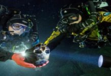 Red Sea Discovery of Egyptian Army Brings Biblical Exodus to Life