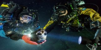 Red Sea Discovery of Egyptian Army Brings Biblical Exodus to Life