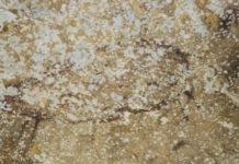 Indonesian Cave Art Showcases Oldest Hand Stencil