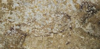 Indonesian Cave Art Showcases Oldest Hand Stencil