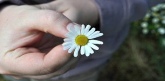 A letter of thanks. #dailychatter #TUESDAYTHANKFULNESS A thank you letter to the World