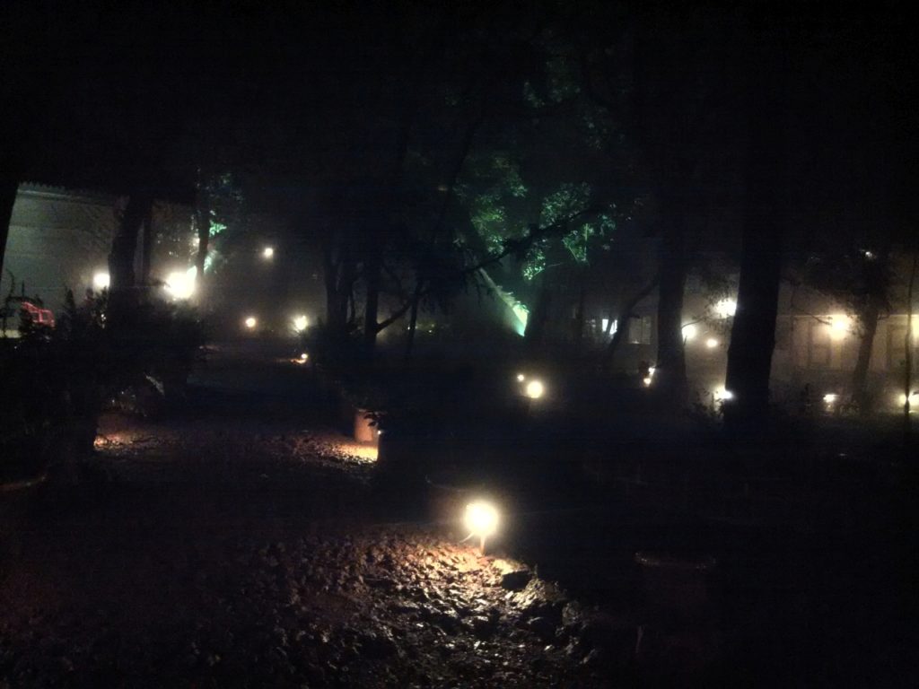 Mist in the Night