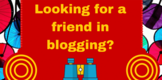 The Blogbuddy Experience