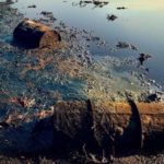 lake karachay search of life