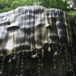 petrifying well search of life