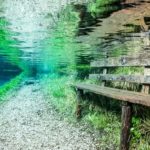 underwater park search of life