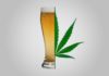 Marijuana Vs Alcohol – The Debate Continues