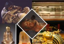 Top 10 Well Preserved Mummies That Look Real – II real mummies top 10