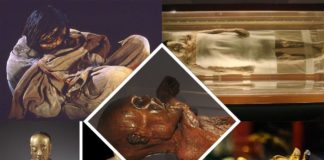 Top 10 Well Preserved Mummies That Look Real – II real mummies top 10