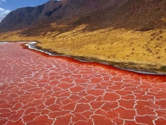 natron lake stone