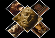 Top 10 Well Preserved Mummies That Look Real – I top 10 preserved real mummies